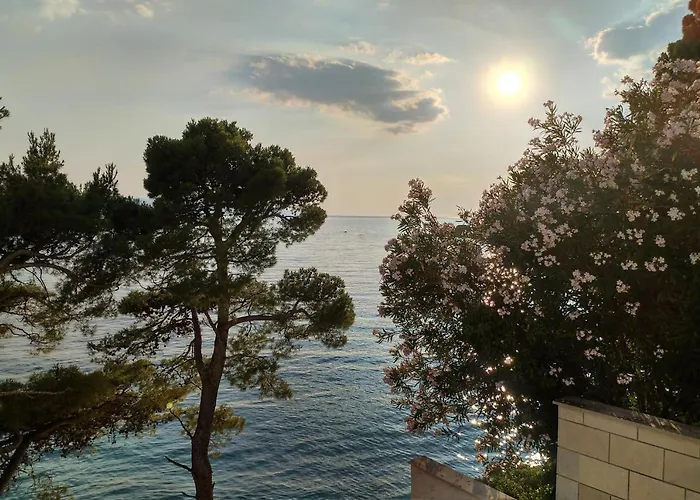 Апартаменты Sun *